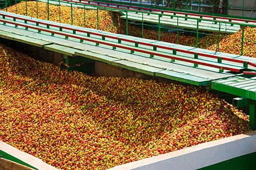 almazara aceite de oliva extra virgen espana 27