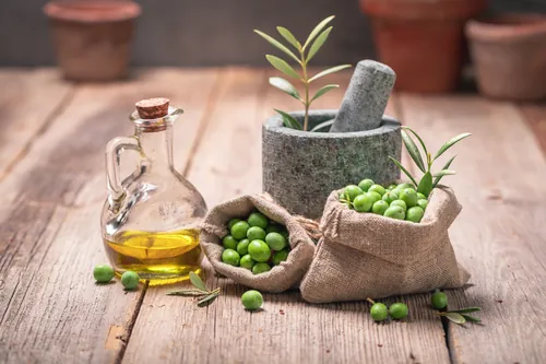 Aceitunas recién cogidas directamente de los árboles del olivar