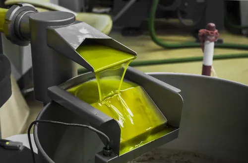 Detalle del proceso de extracción del aceite en la almazara