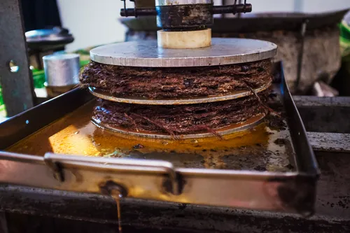 Prensa mecánica tradicional utilizada para extraer el aceite de oliva