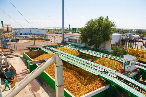 Instalación agrícola rural durante el procesado de la cosecha