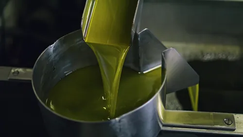 Proceso de producción de aceite de oliva en una almazara moderna