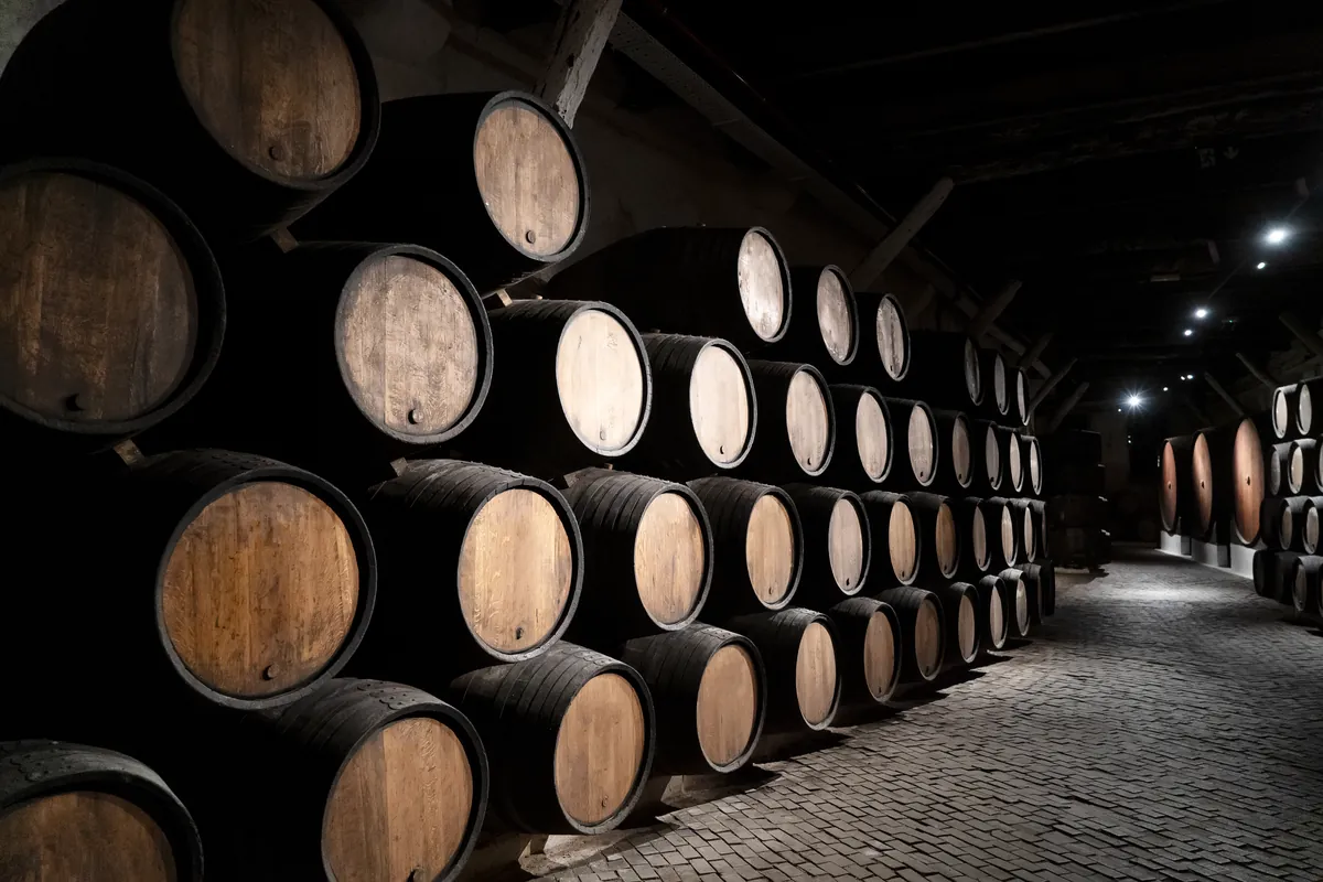 Barricas de roble alineadas durante el envejecimiento del vino