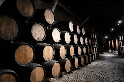 Barricas de roble alineadas durante el envejecimiento del vino