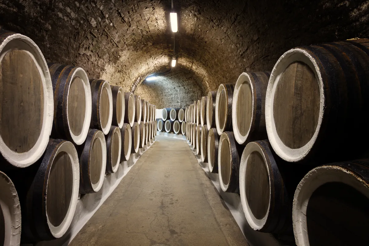 Hilera de barricas de vino dentro de un túnel de crianza