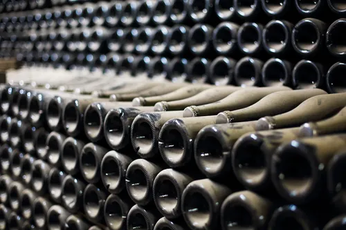 Botellas envejecidas cubiertas de polvo en una bodega oscura