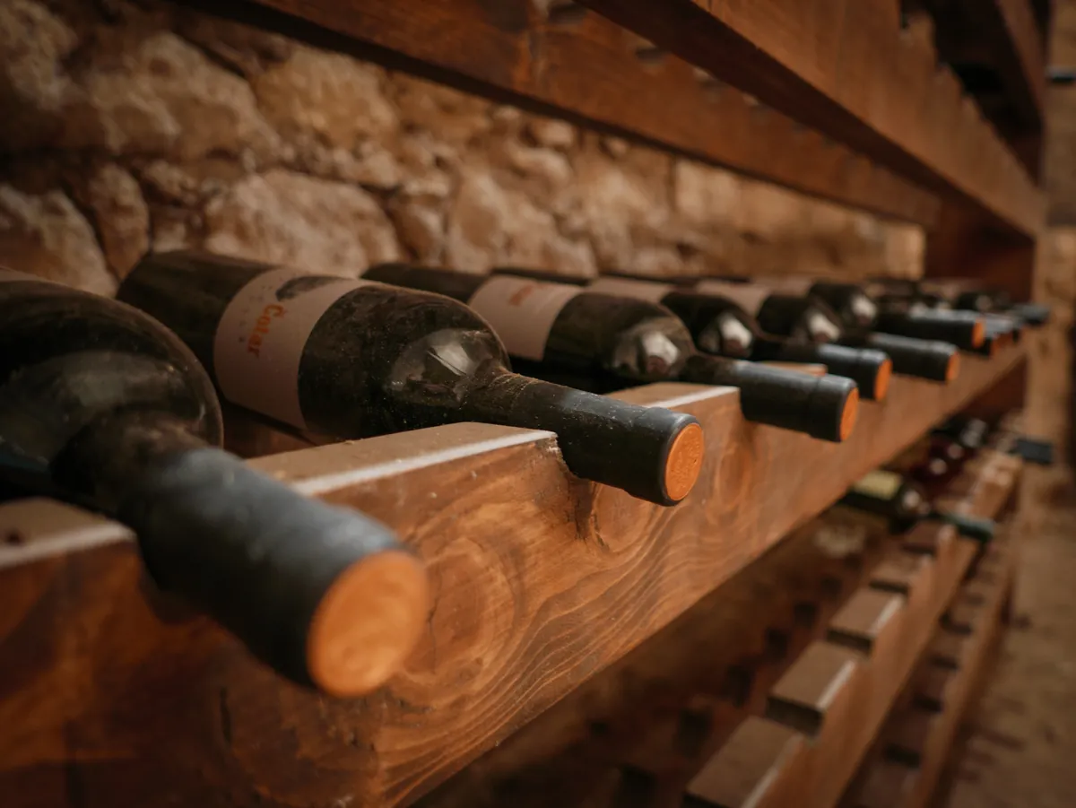 Detalle de botellas de vino apoyadas en la estantería de la bodega