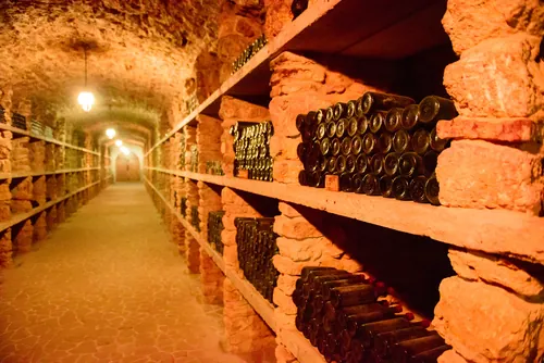 Hilera de botellas de vino en la penumbra de la bodega