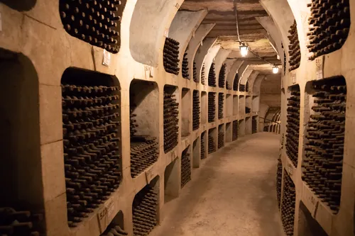 bodega-botellas-tunel-almacenaje-159
