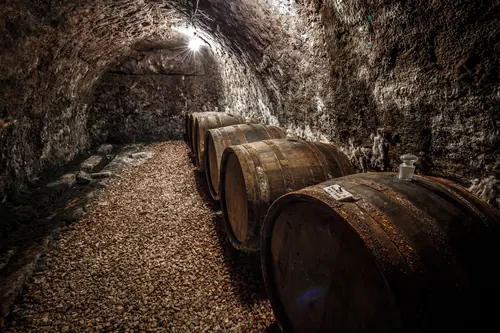 Fila de barricas de vino alineadas a lo largo del suelo