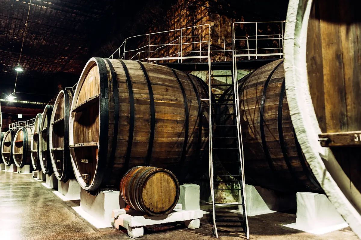 Hileras de barricas de madera en el interior de la bodega