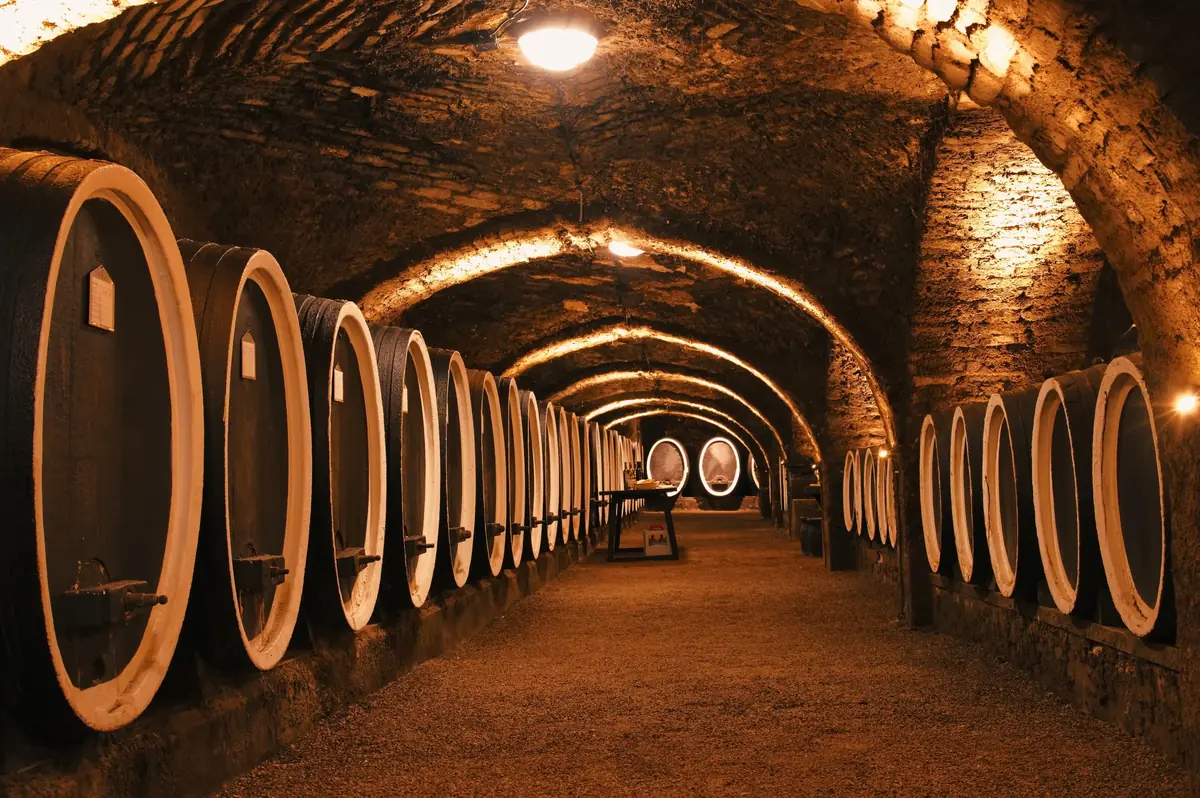 Bodega histórica con barricas de madera bajo los muros del castillo