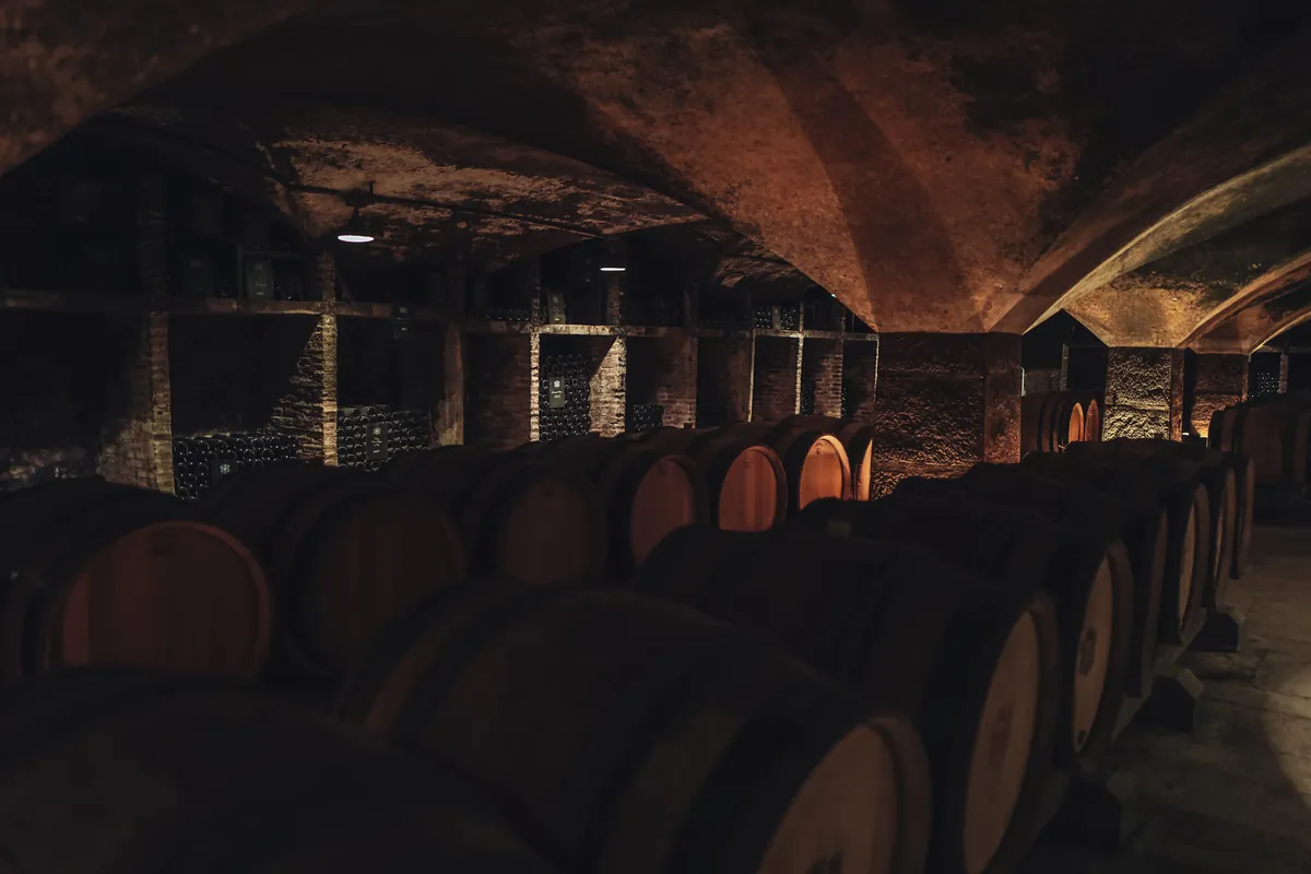 Amplia bodega subterránea con cientos de botellas en reposo
