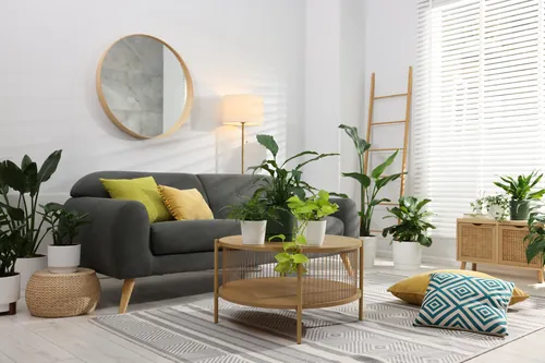 Salón cómodo con plantas y detalles de decoración natural