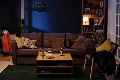 Salón con sofá y una librería llena de libros