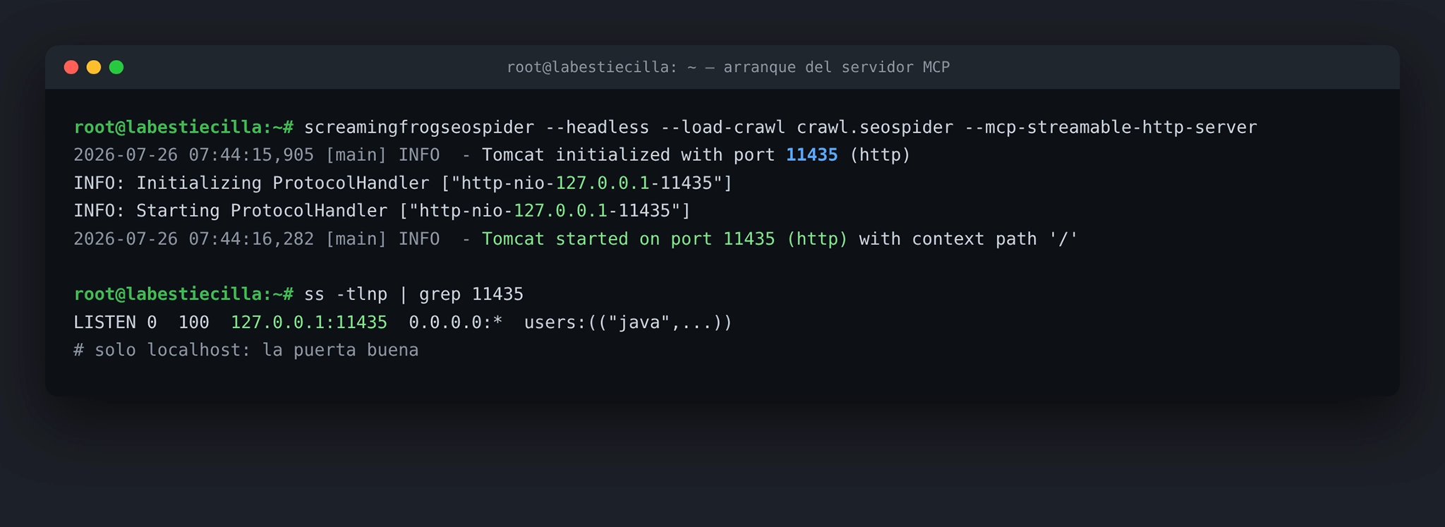 Arranque del servidor MCP de Screaming Frog en headless: Tomcat escuchando solo en 127.0.0.1:11435