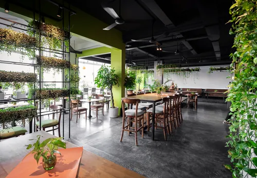 Interiorismo moderno con plantas repartidas por toda la sala