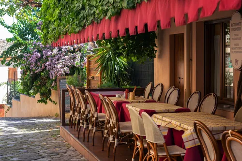 Terraza exterior con un toldo cubierto de hiedra verde