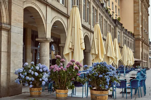 Mesas y sillas con flores en la terraza de la calle
